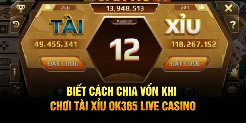 Biết cách chia vốn khi chơi Tài Xỉu OK365 Live Casino