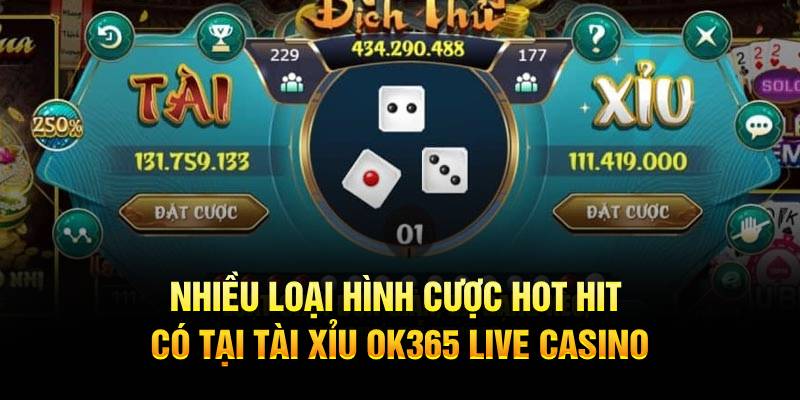 Nhiều loại hình cược hot hit có tại Tài Xỉu OK365 Live Casino