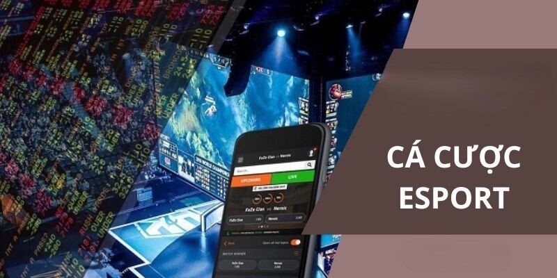 Tổng quan về cá cược Esports OK365